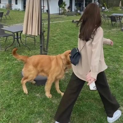 月行者